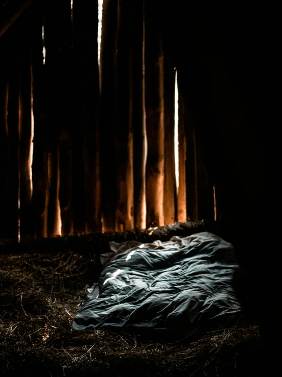 a blanket lies in the dark in the background are bamboo trees