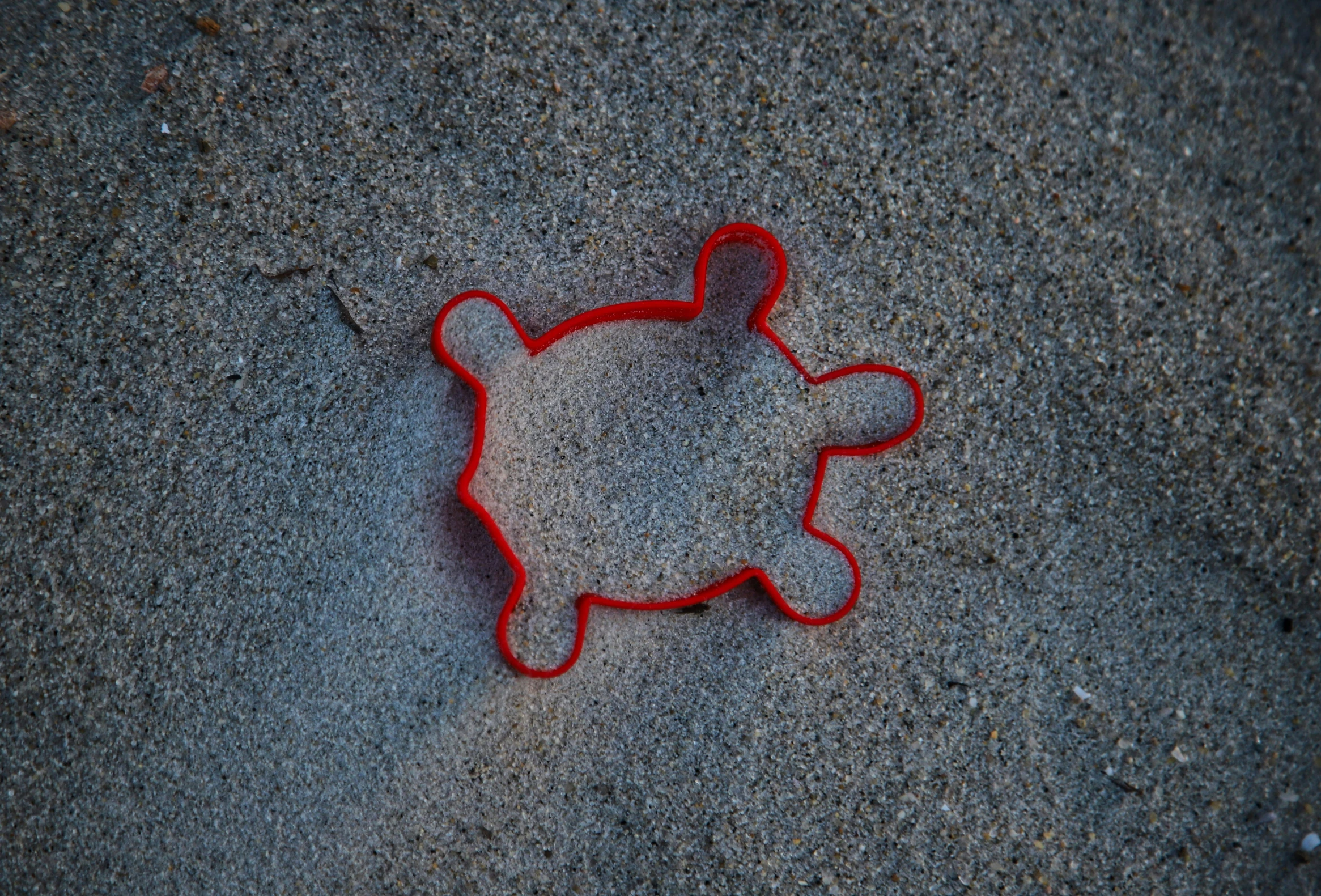 a teddy bear shaped cookie cutter that has been placed on the ground