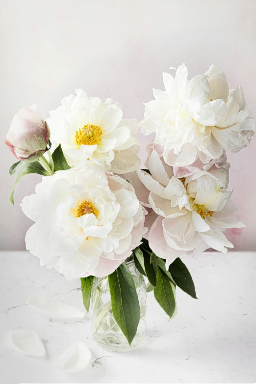 a vase of white flowers with some yellow in the middle