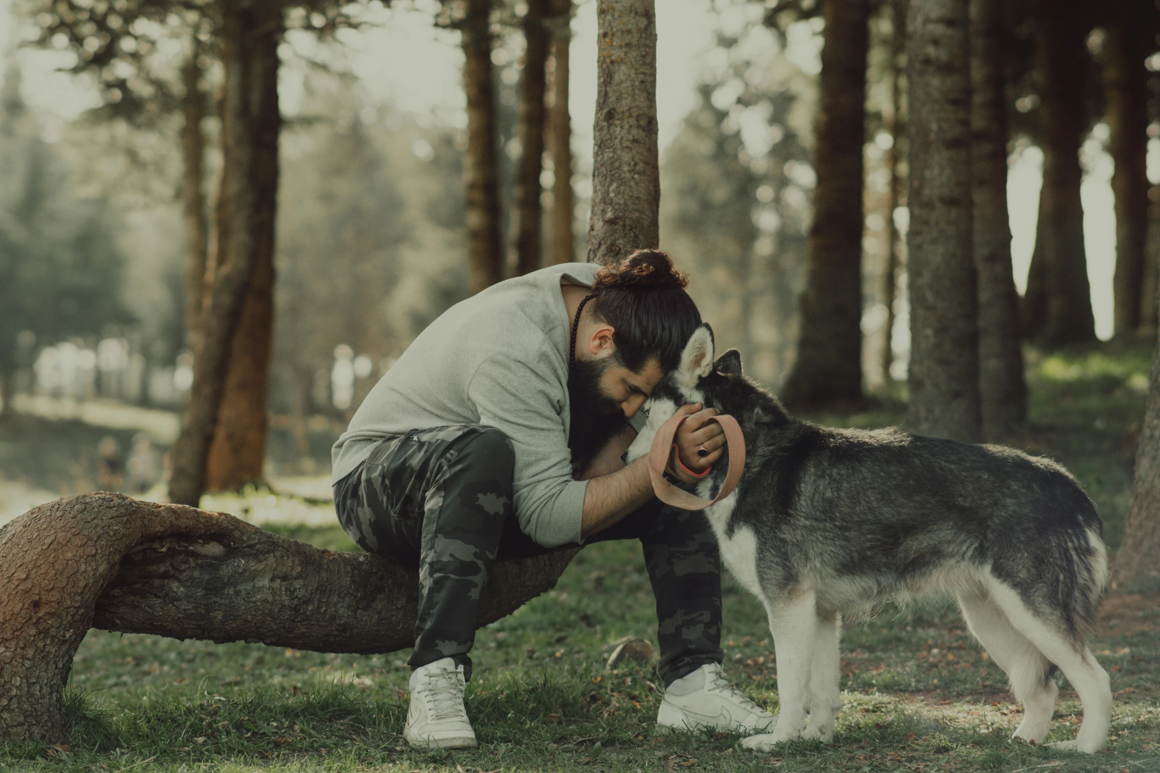 a man playing with his dog while sitting on the tree