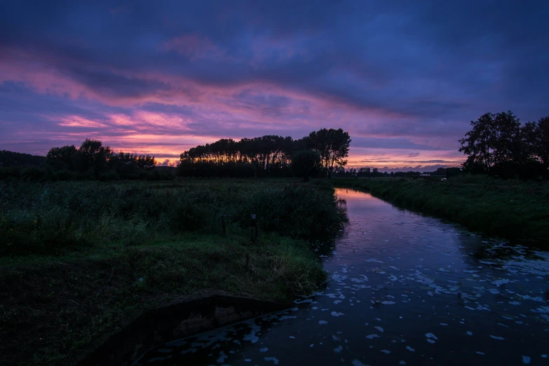 dusk in a river and green grass