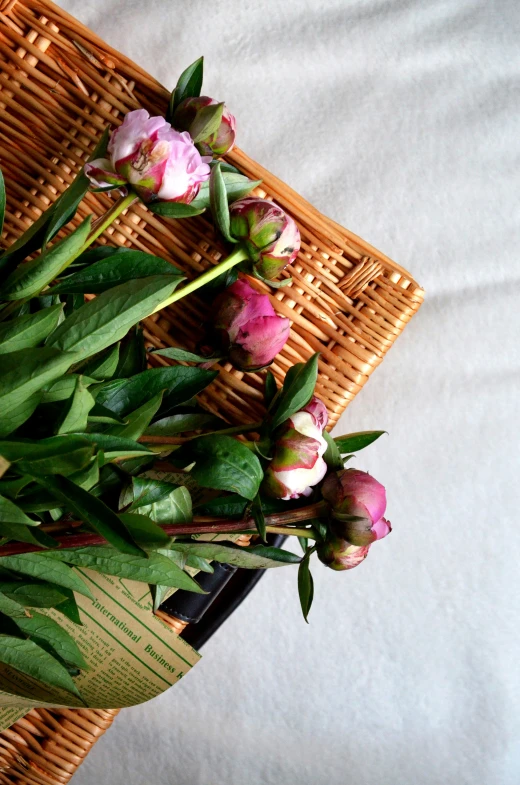 three tulips in the foreground with their petals on display