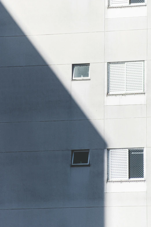 a cat walking next to an apartment building