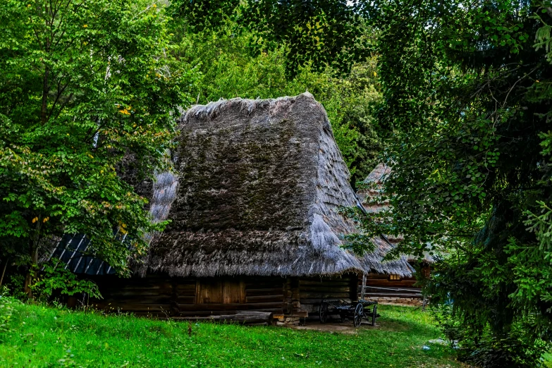 a hut with grass roof surrounded by trees