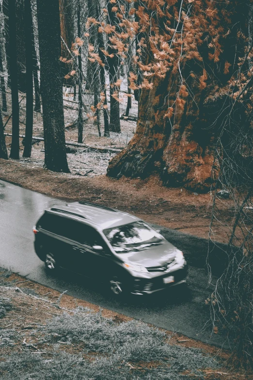 a black suv drives on a wet road in a forest