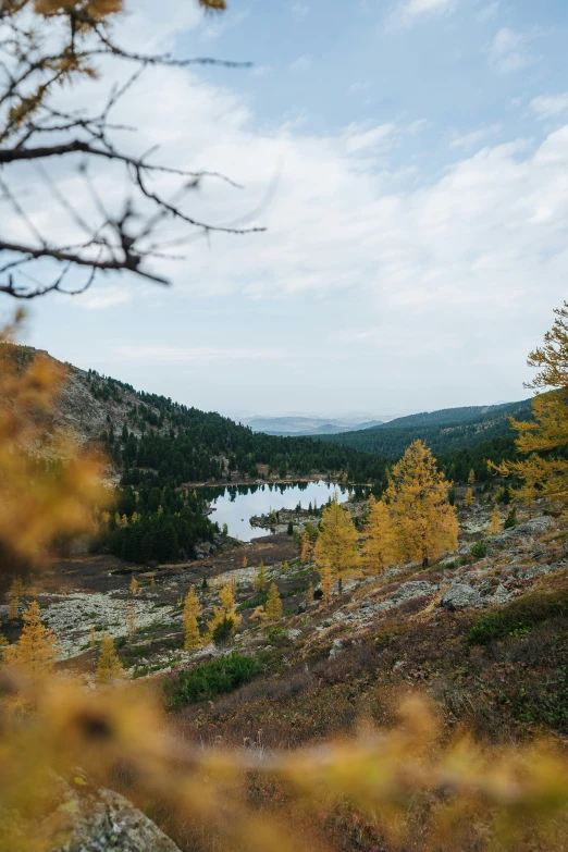 the landscape is full of trees and mountains