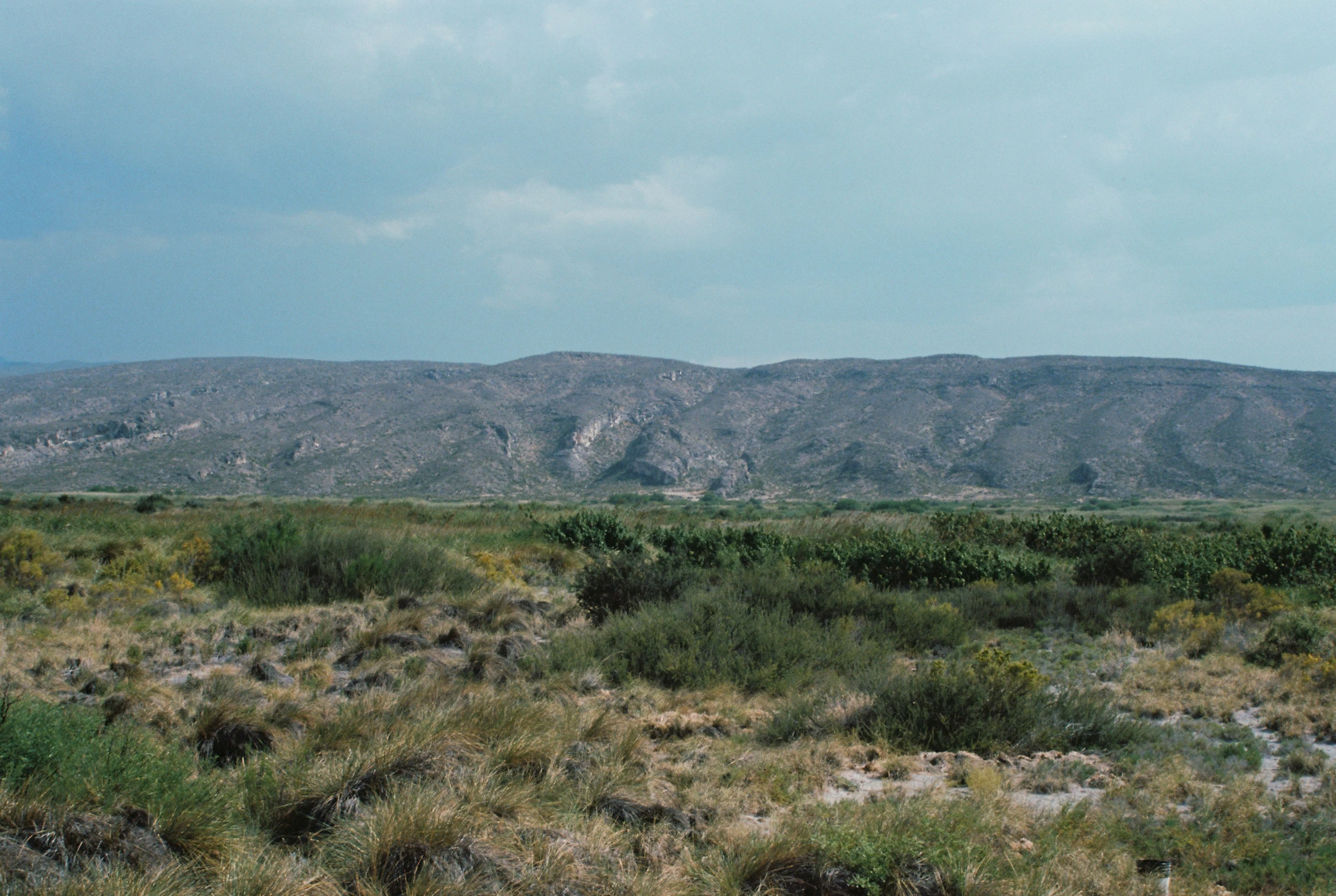 there are hills and bushes in the desert