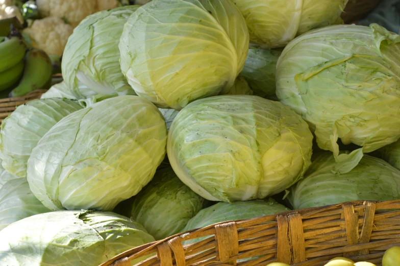 a bunch of cabbages that are sitting in a basket