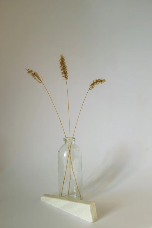 a glass vase with two plants in it on a counter