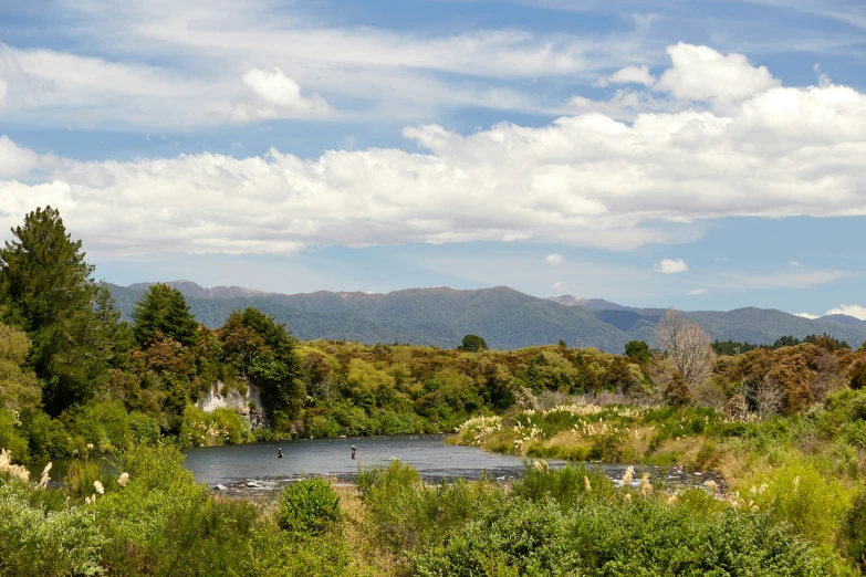 the trees and shrubs surrounding the river are lush