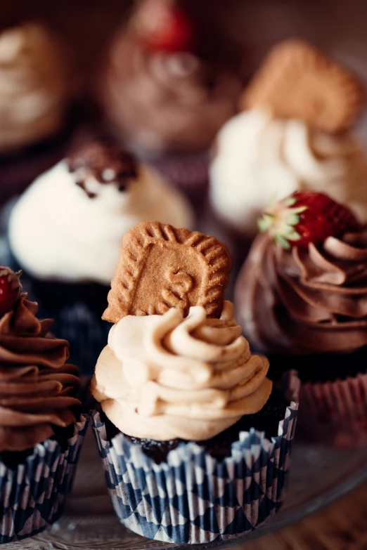 a close up of assorted chocolate cupcakes and other small pastries