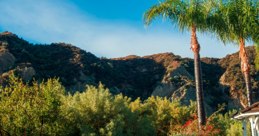 a house near some mountains is standing among the trees