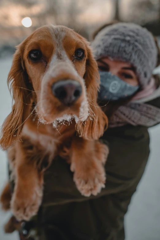 a woman holds up a dog that is wearing a muzzle