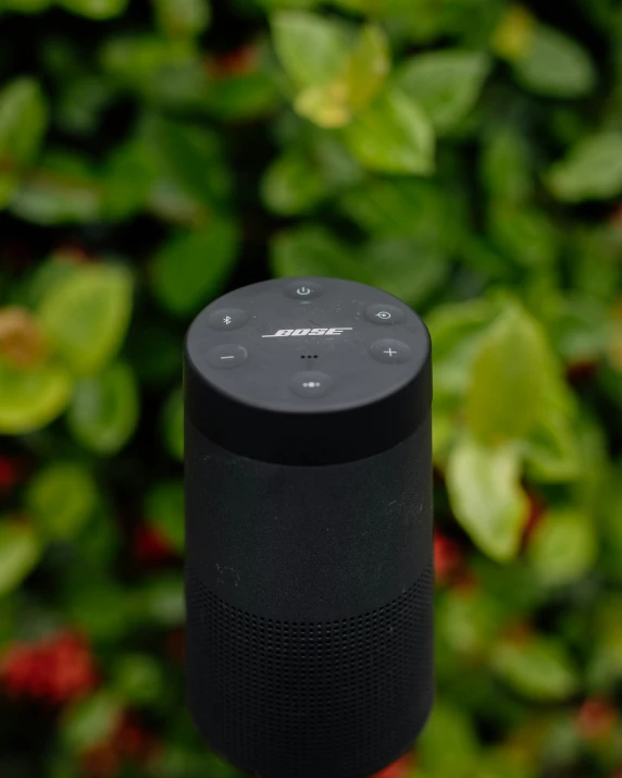 a small black speaker on top of green plants