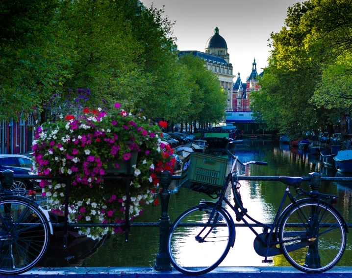 a bicycle parked on the side of a bridge