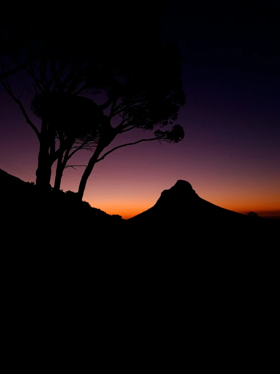 there are two trees that are silhouetted against a twilight sky