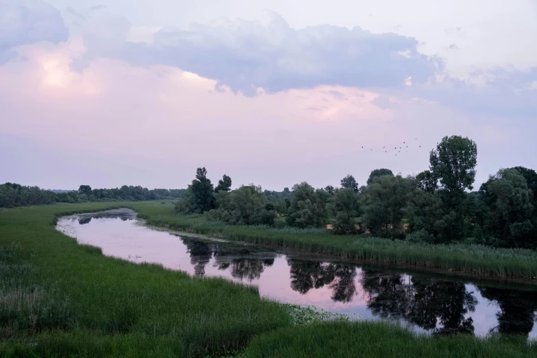 a river with trees and a sky in the background