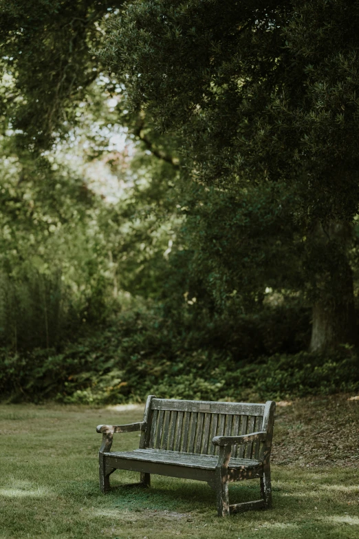 a park bench sitting in the middle of a field