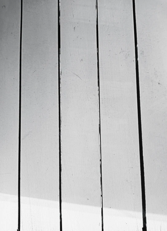 black and white pograph of a cat standing on a porch