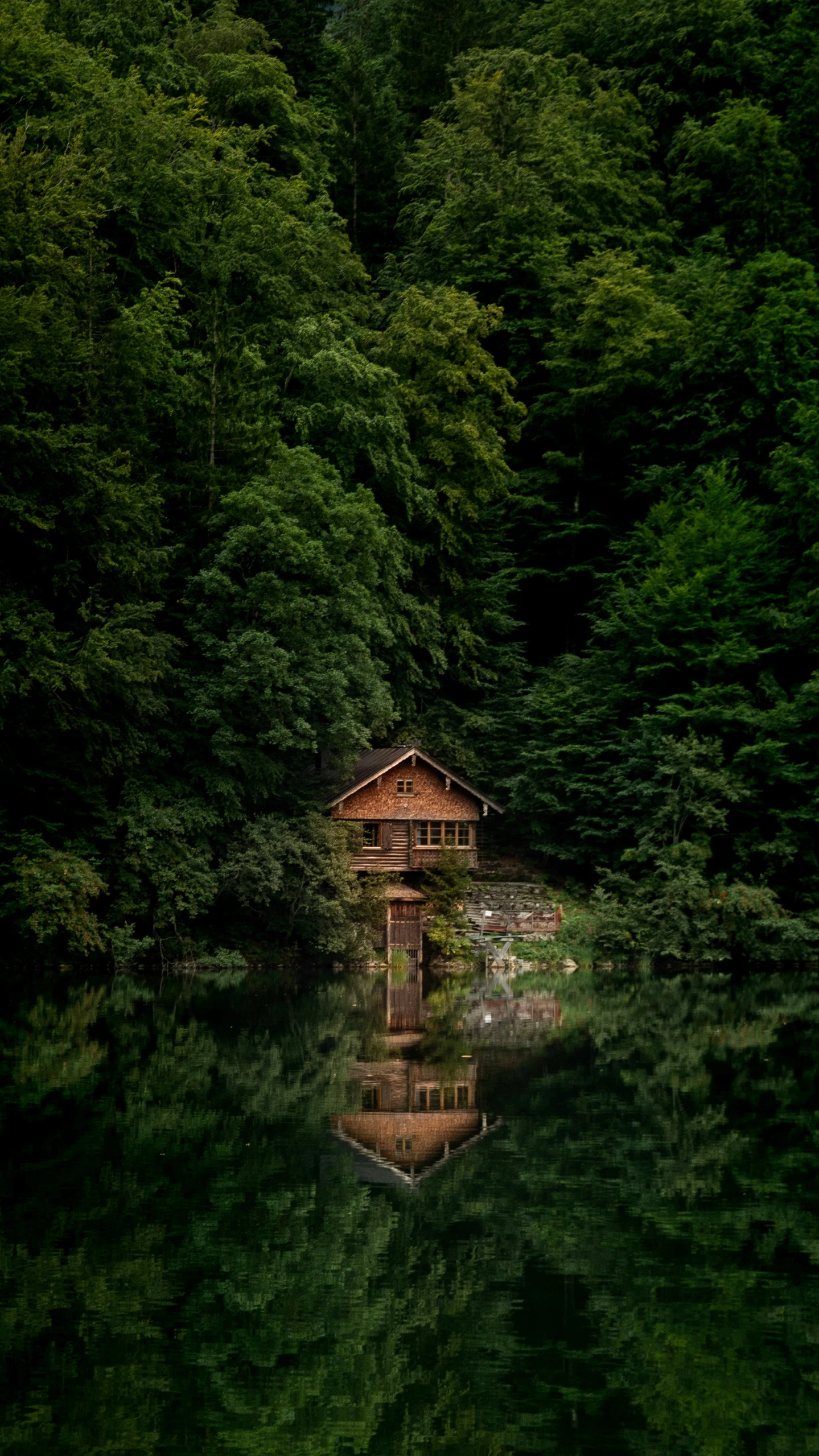 the house is by the pond in the forest