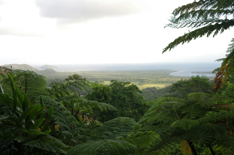 a landscape view of trees and a green pasture in the background