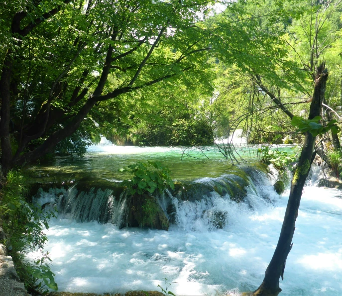 a blue green and white colored water rapids with trees in the foreground