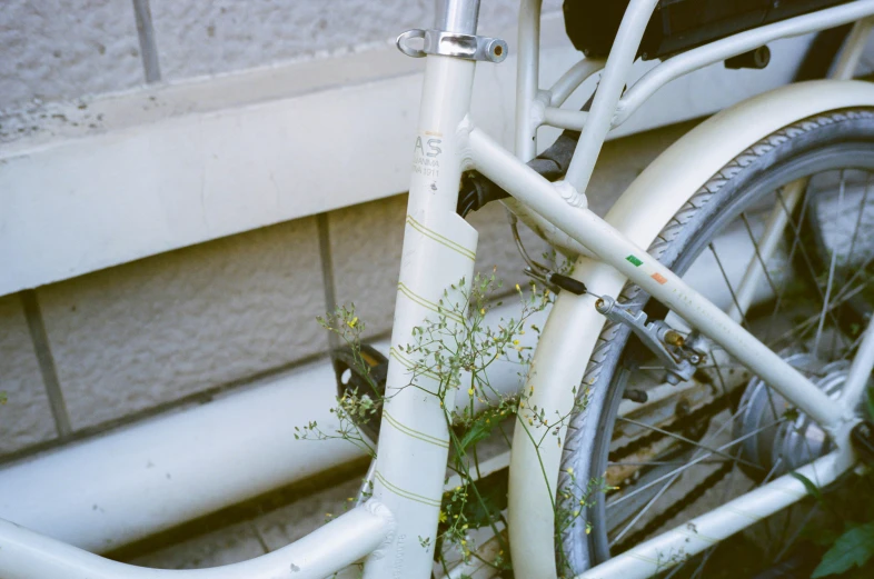 a white bicycle next to a wall with a bush growing in the front basket