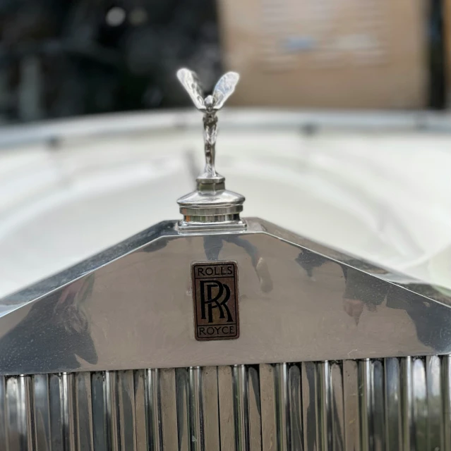 a hood ornament on top of an antique automobile