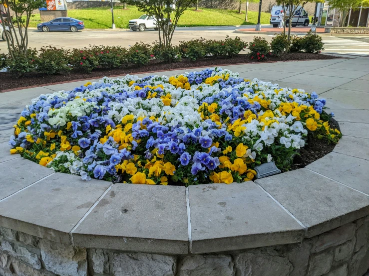 a flower garden in a circle made out of concrete blocks