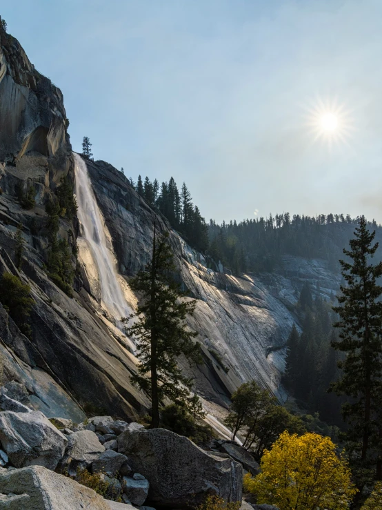 trees and rocks near the base of a cliff