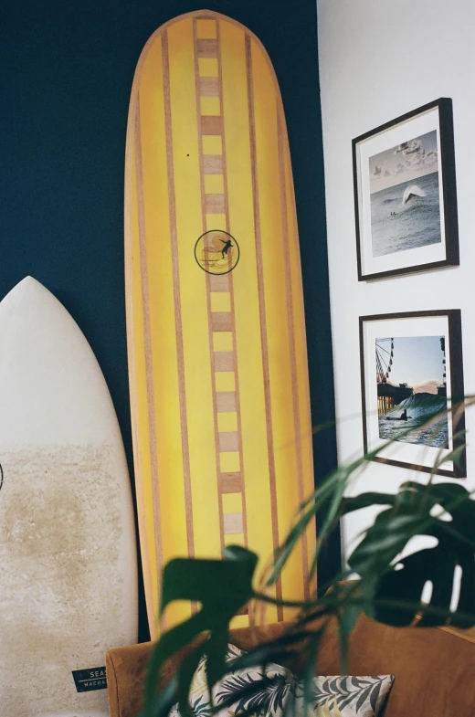 a yellow surfboard with a green plant in front of it
