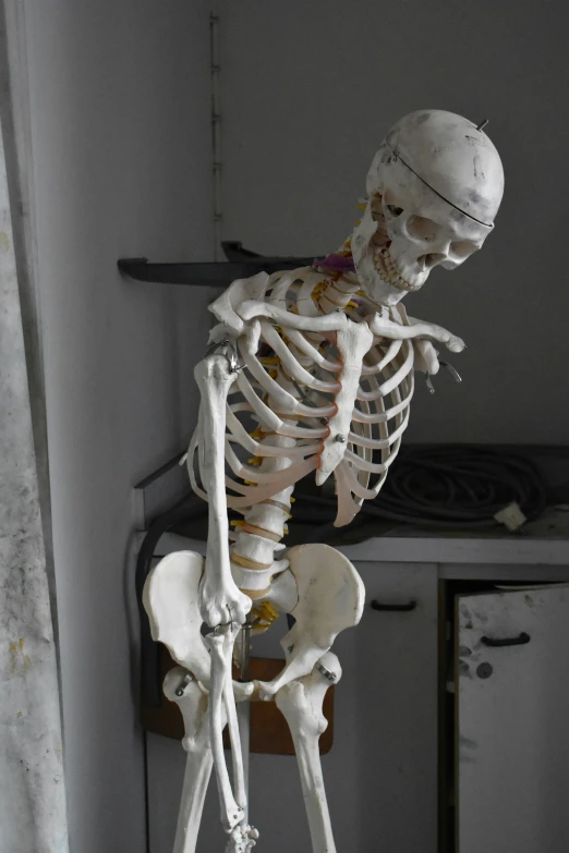 a human skeleton standing on one foot with other hand