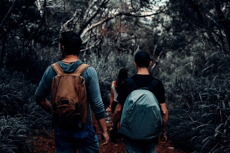 people walking down a path in the woods