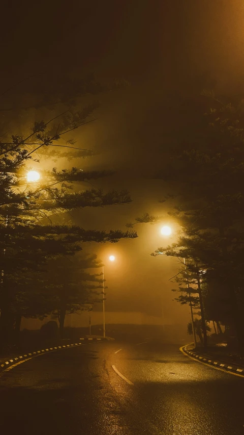 fog and some lights shine brightly at night