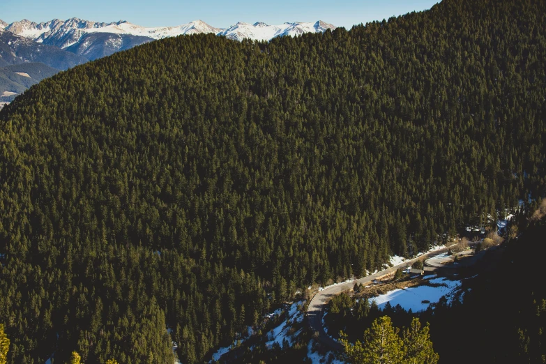 mountain area with snow, evergreen and clear sky