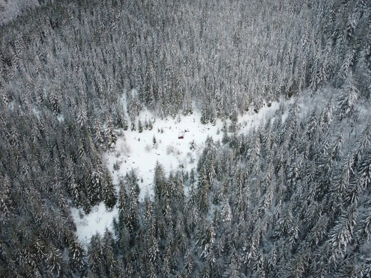 there is a small pond in the snow