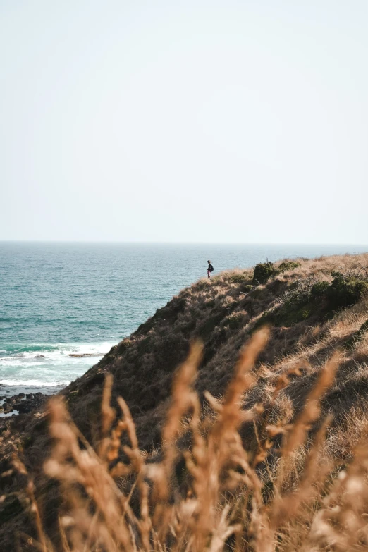 a couple people on a cliff overlooking the ocean