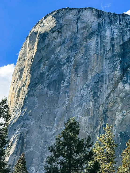 this is a view of a large mountain that has several trees