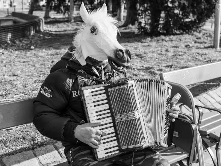 a horse head dressed as an accordion player