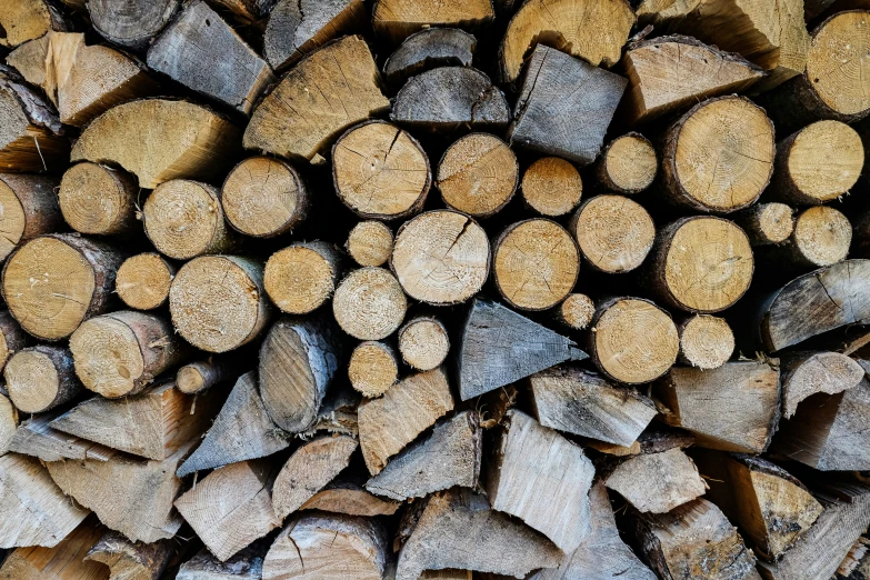 a group of logs piled on top of each other