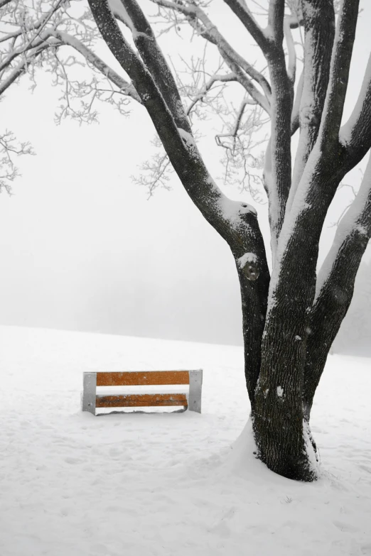 a snow covered park bench sitting in the snow