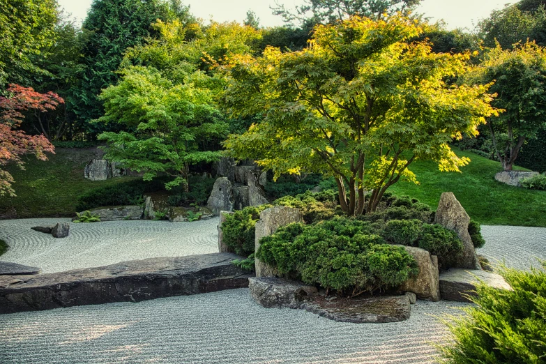 an outdoor garden with stones and trees