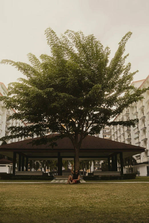 two people sitting under a tree on top of a field