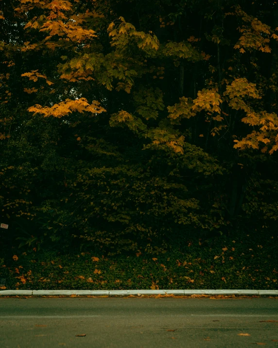 a yellow bench sits on the side of the road