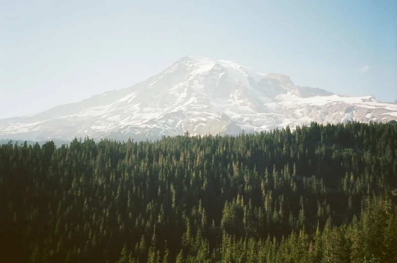 there is an image of a mountain peak that is near the pine trees