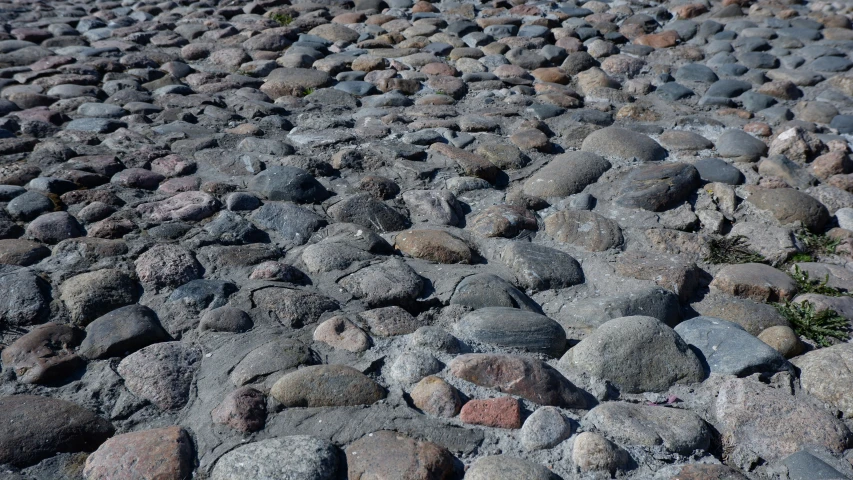 stones on the ground, possibly from an old bridge