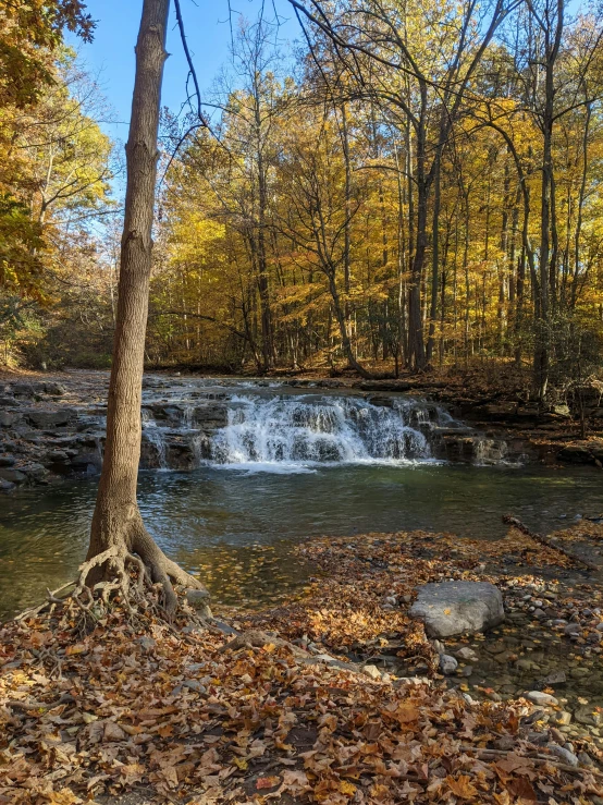 a small waterfall that is flowing through the woods