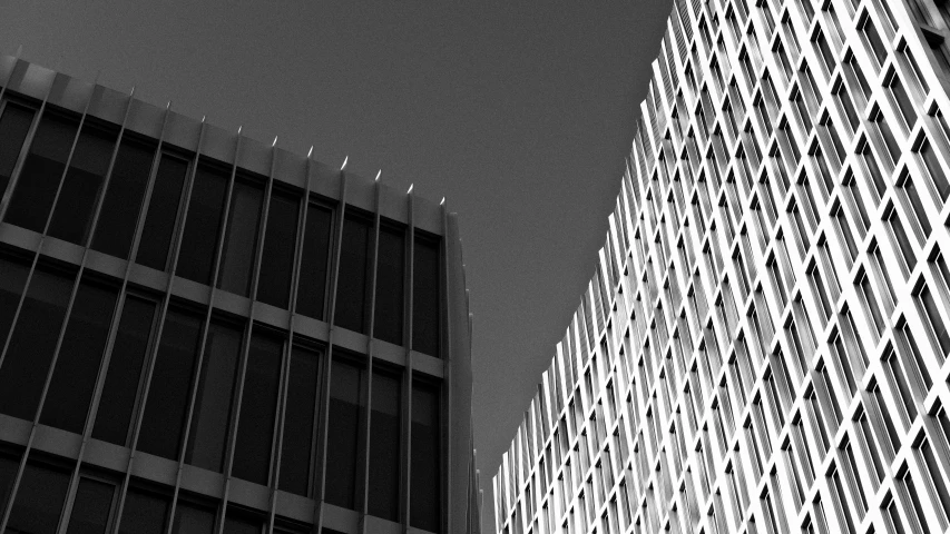 a black and white po shows the tops of two buildings