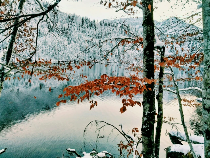 a very pretty view over some water with some trees