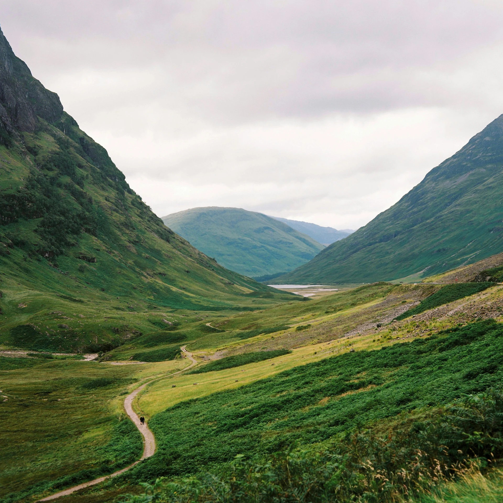 a road running through a valley between two mountains